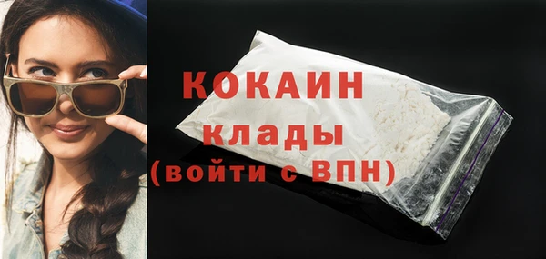 стаф Аркадак