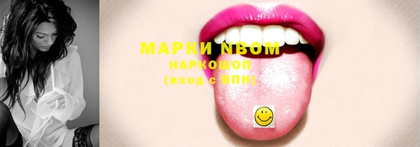 стаф Аркадак