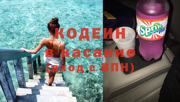 стаф Аркадак